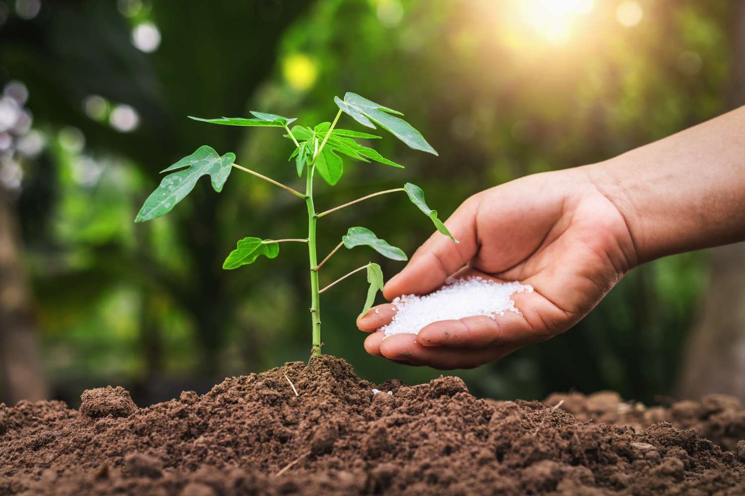 der-richtige-d-nger-f-r-deine-gartenpflanzen-natur-gartenfreunde