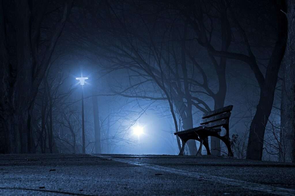 park, bench, night, evening, fog, mist, rain, raining, outdoors, dark, nature, wyspa bolko, opole, poland