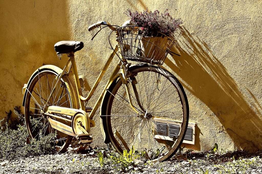 bike, bicycle, wheels, bicycle wheels, nature, flower background, basket, flowers, flower wallpaper, old bike, vehicle, transportation, yellow bike, beautiful flowers, yellow bicycle